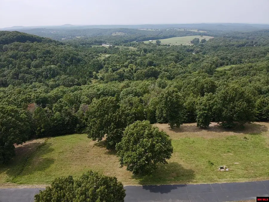 Lot 16 DENMARK CIRCLE, Mountain Home, AR 72653 - #3