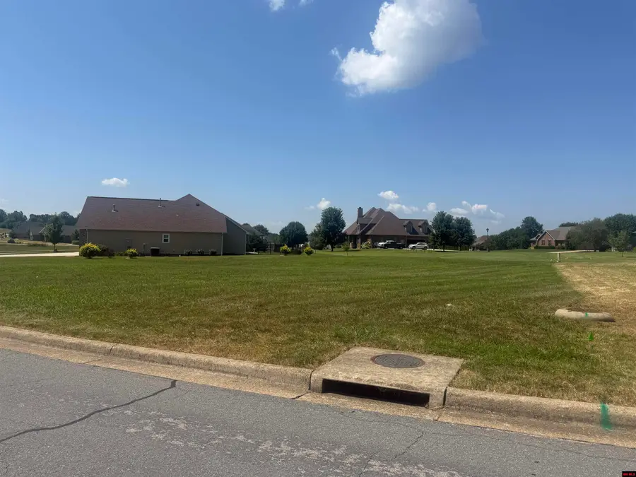 Lot 103 OLYMPIC DRIVE, Mountain Home, AR 72653 - #3