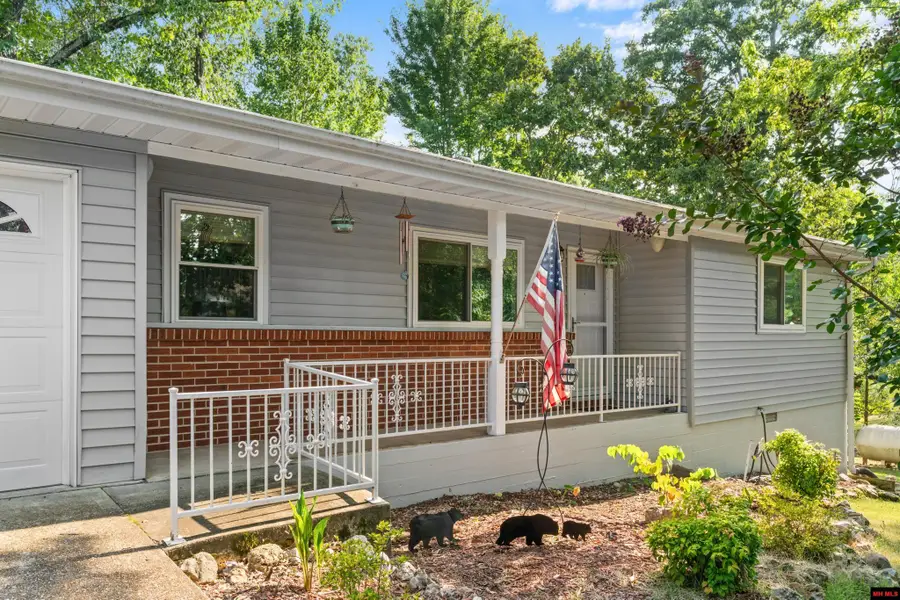 118 RAVINE DRIVE, Lakeview, AR 72642 - #2