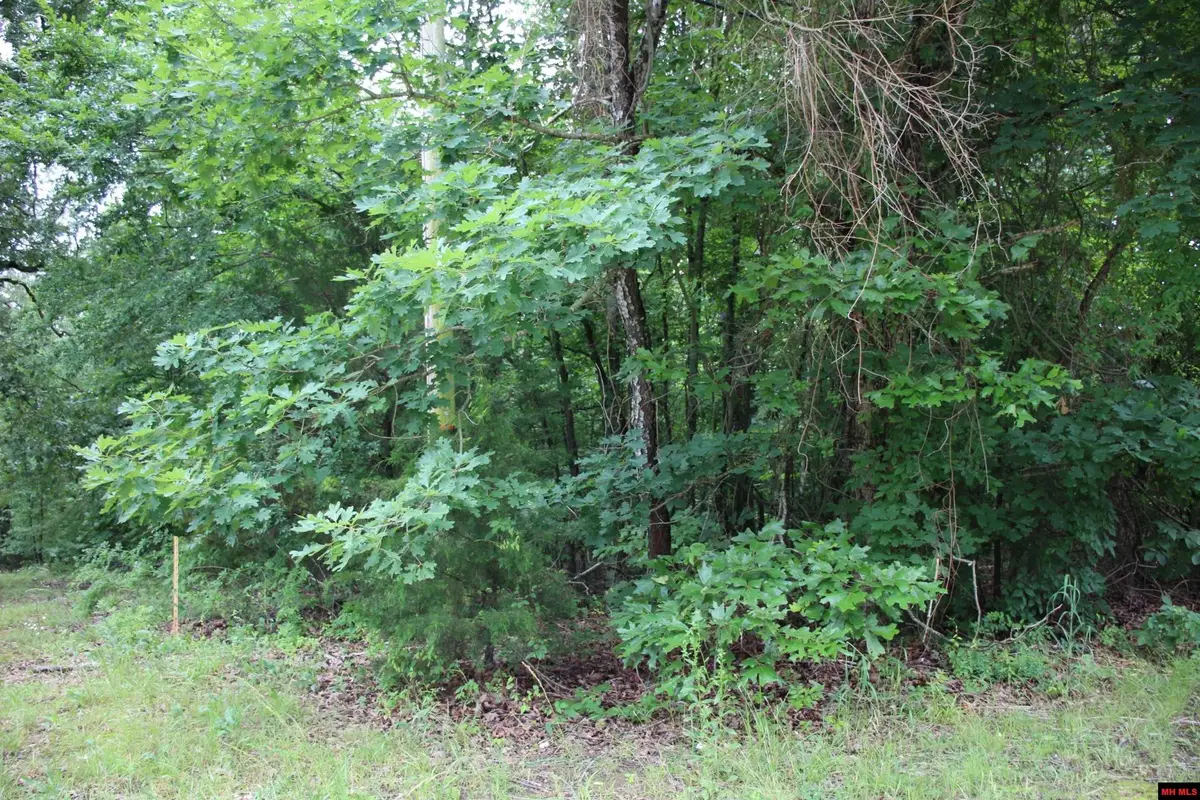001-09520-000 HWY 178, Lakeview, AR 72642 - #1