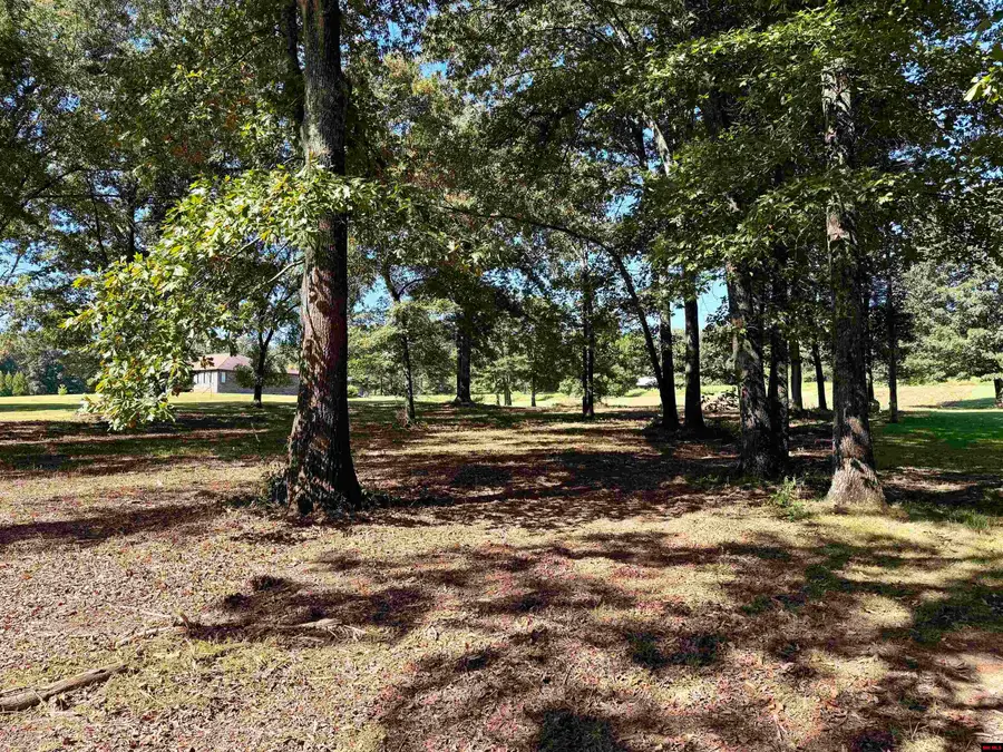 Lot 31 RIVERBEND DRIVE, Flippin, AR 72634 - #3