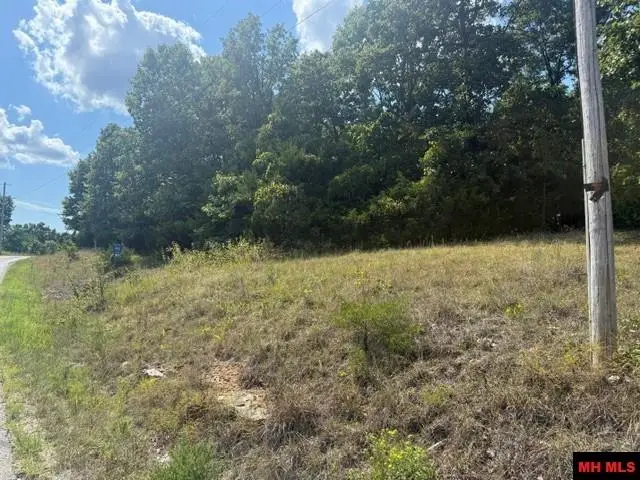 4031 CR 36, Clarkridge, AR 72623 - #2
