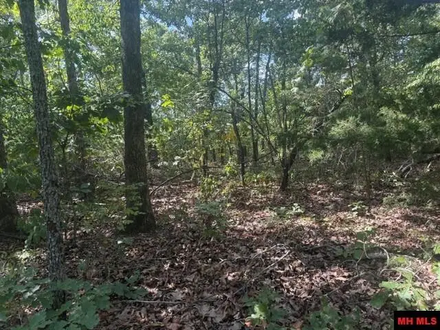 4031 CR 36, Clarkridge, AR 72623 - #3