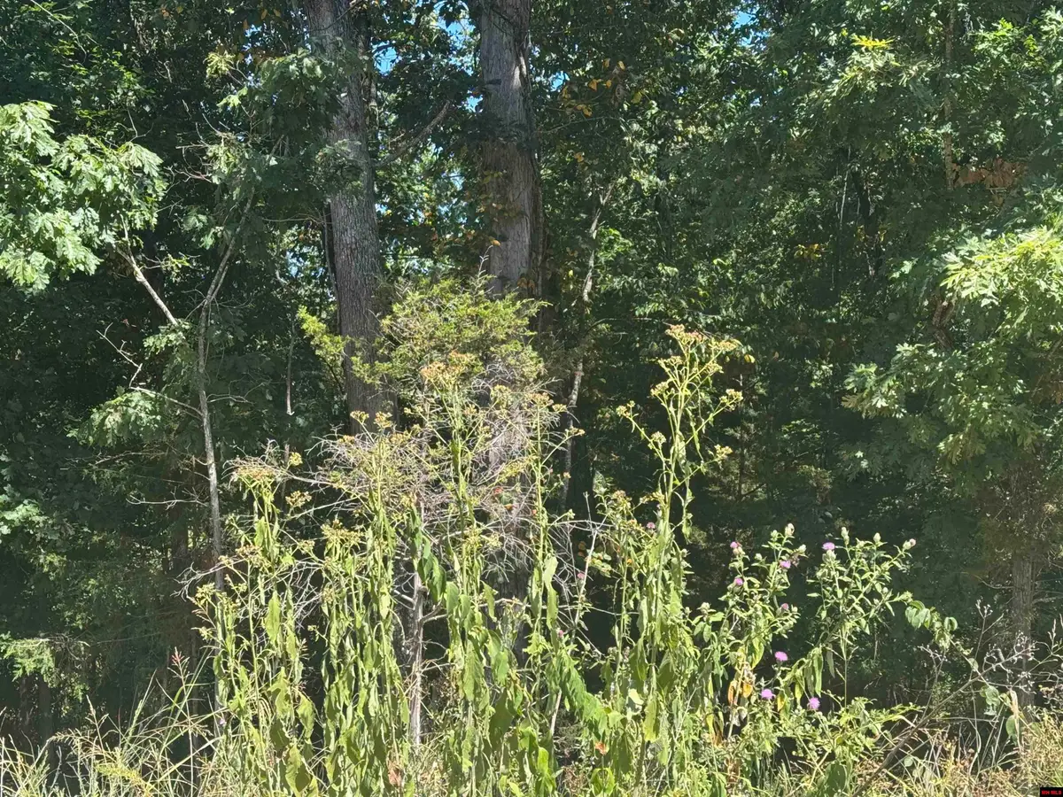 Lots 198-201 WICK ROAD, Briarcliff, AR 72653 - #1