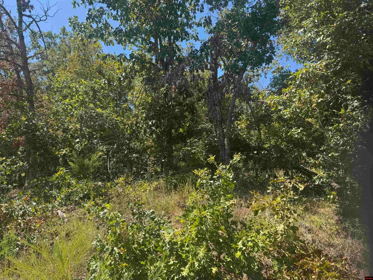 760-15822-000 MCDONALD MEADOWS PARKWAY, Bull Shoals, AR 72619 - #1