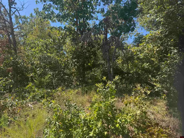 760-15822-000 MCDONALD MEADOWS PARKWAY, Bull Shoals, AR 72619