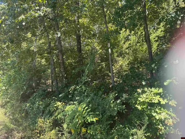 760-06653-000 LYNETTE AVENUE, Bull Shoals, AR 72617
