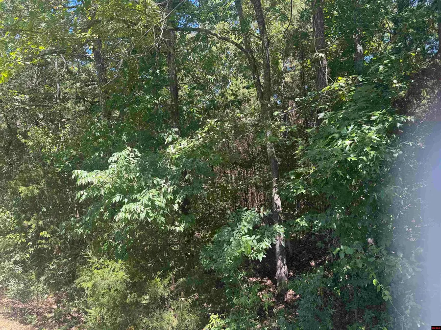 760-06653-000 LYNETTE AVENUE, Bull Shoals, AR 72617 - #3