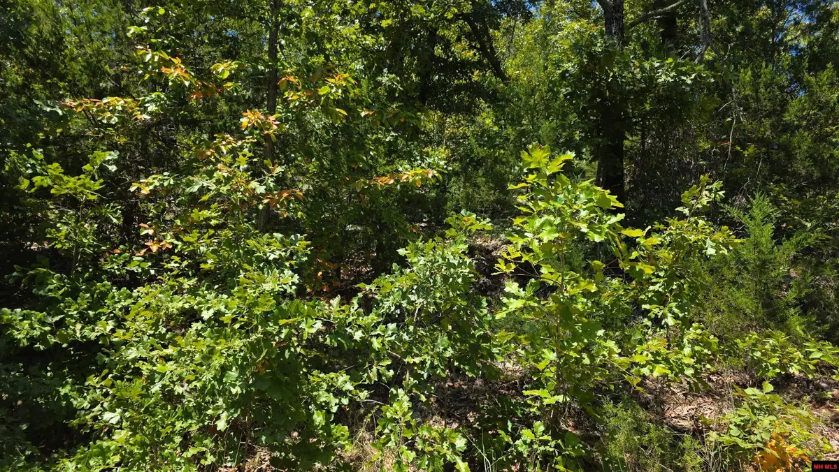 760-07897-000 HILLCREST DRIVE, Bull Shoals, AR 72619 - #1