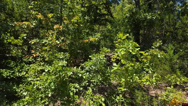 760-07897-000 HILLCREST DRIVE, Bull Shoals, AR 72619
