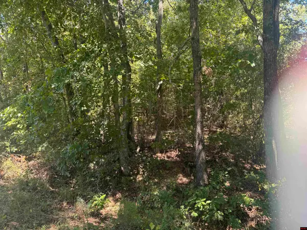 760-07589-000 LYNETTE AVENUE, Bull Shoals, AR 72617