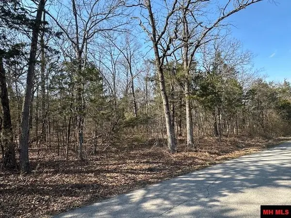 77000936000 ORCHARD STREET, Flippin, AR 72634