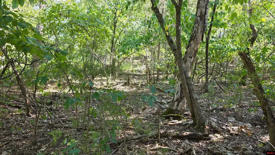 Lot 30 MALLARD DRIVE, Diamond City, AR 72630 - #2