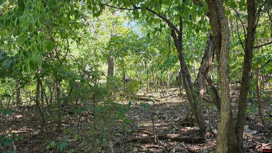 Lot 30 MALLARD DRIVE, Diamond City, AR 72630 - #3
