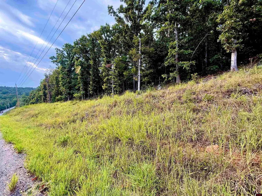 010-00923-000 LOCH LOMOND DRIVE, Briarcliff, AR 72653 - #3