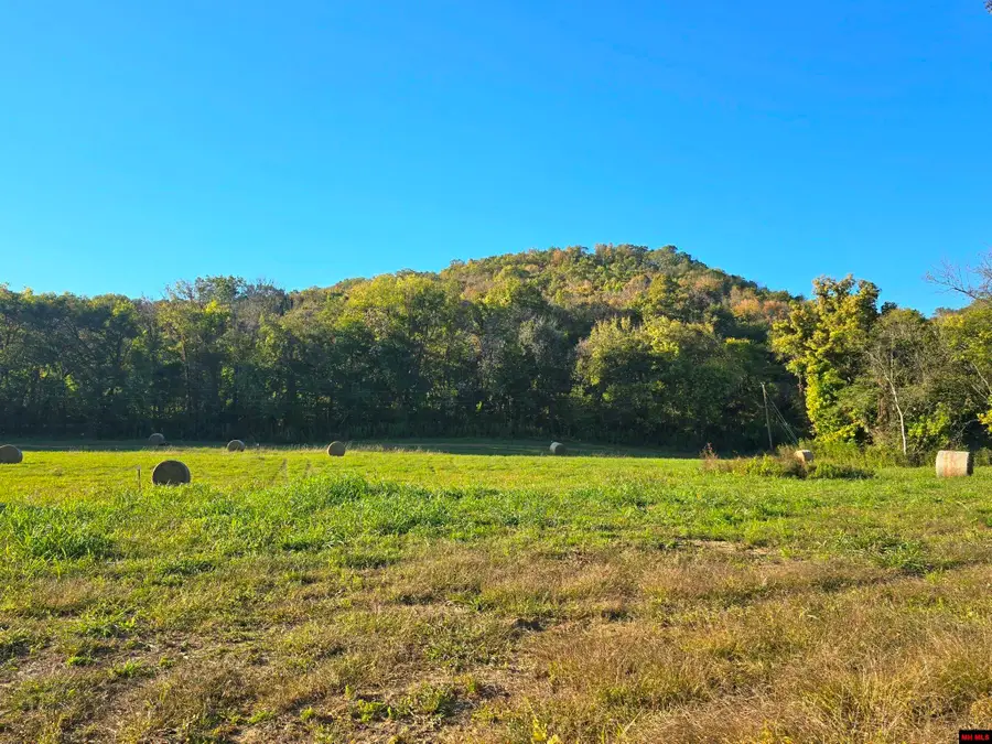 070499-100172-7 W SCHOOL HOUSE HOLLOW ROAD, Melbourne, AR 72556 - #3