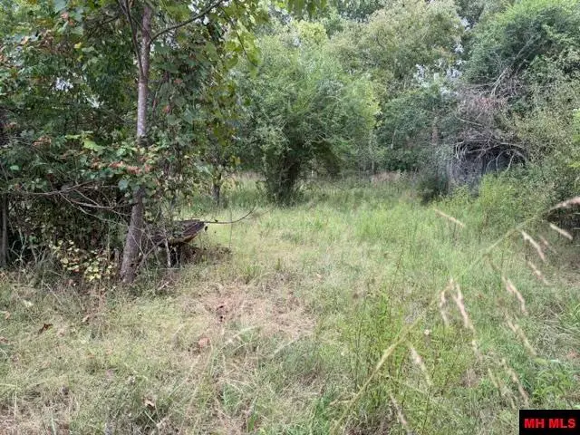 11366 HWY 5 SOUTH, Salesville, AR 72653 - #1