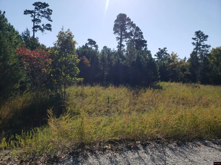 1008 MC 2084, Peel, AR 72668 - #2
