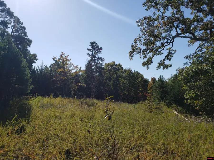 1008 MC 2084, Peel, AR 72668 - #3