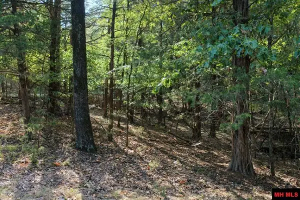 001-09509-000 LAZY ACRES ROAD, Protem, MO 65733