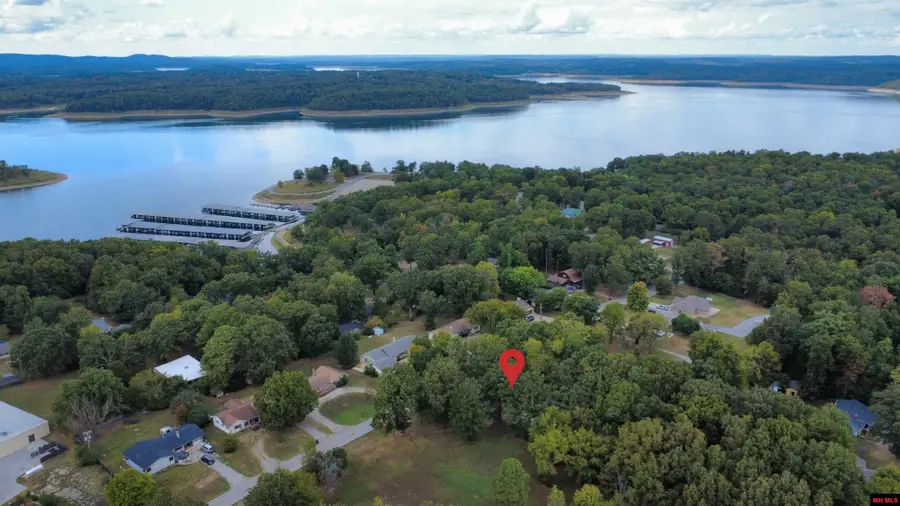 107 BOAT DOCK ROAD, Lakeview, AR 72642 - #2