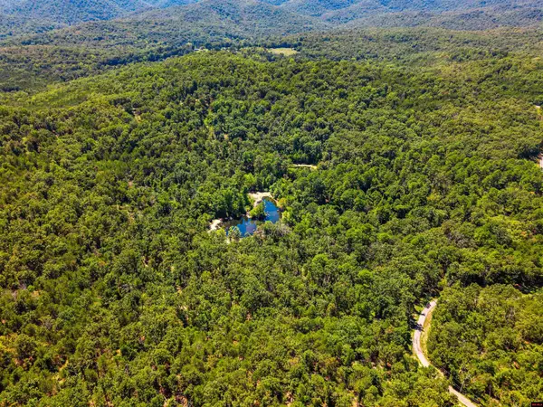 1499 OLLIE MOUNTAIN LANE, Flippin, AR 72634