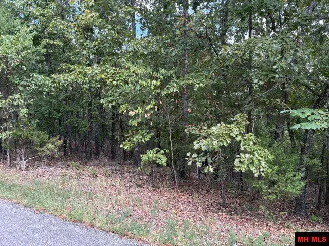 001-09384-000 CAMP GALILEE ROAD, Lead Hill, AR 72644 - #3