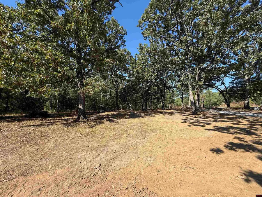 Tract C CR 784, Mountain Home, AR 72653 - #3