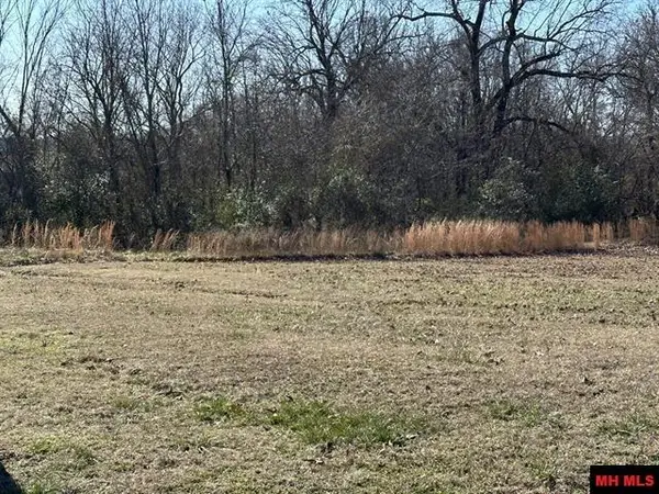 Lots 1657-1660 9TH STREET, Cotter, AR 72626