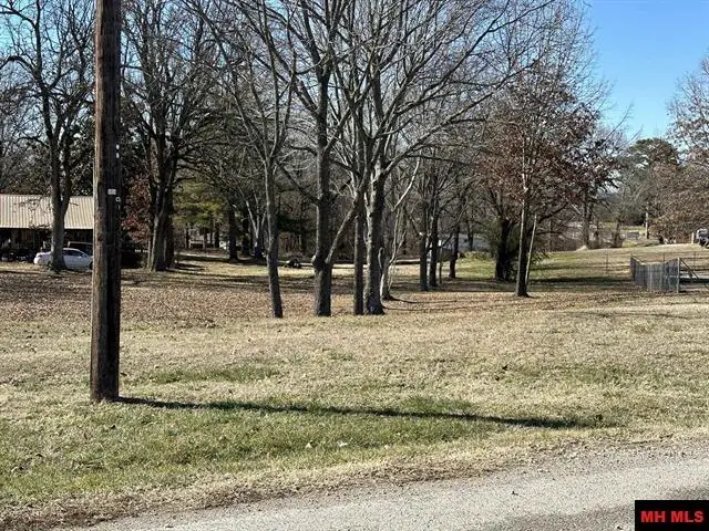 Lots 1657-1660 9TH STREET, Cotter, AR 72626 - #2
