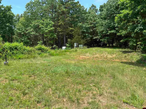 001-04999-000 MACKENZI RIDGE LANE, Yellville, AR 72687