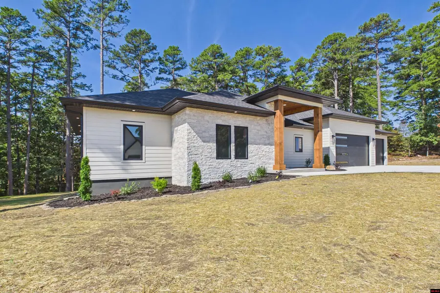 147 SWISS ALPS LANE, Mountain Home, AR 72653 - #3