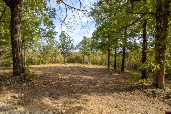 002-11022-44 CR 1420, Mountain Home, AR 72653