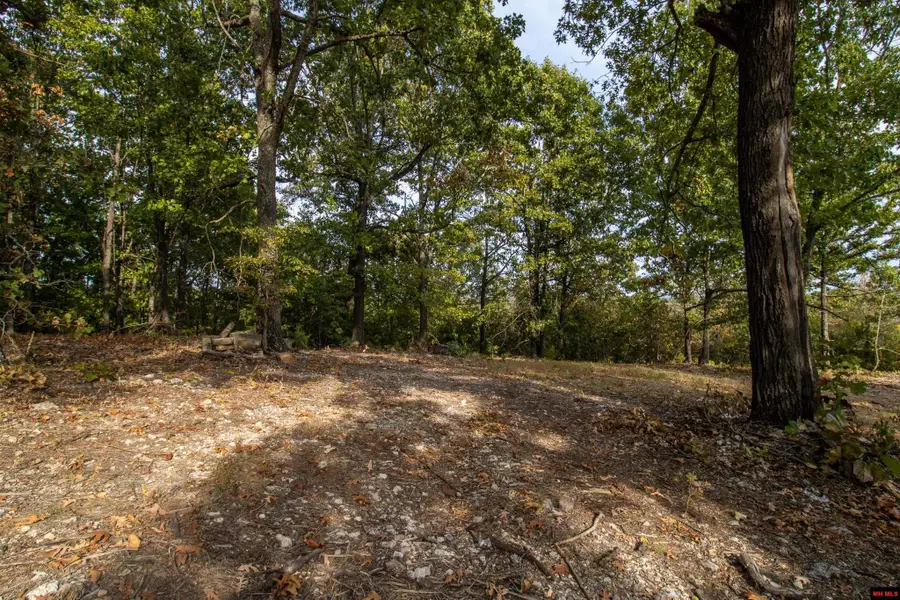 002-11022-44 CR 1420, Mountain Home, AR 72653 - #2