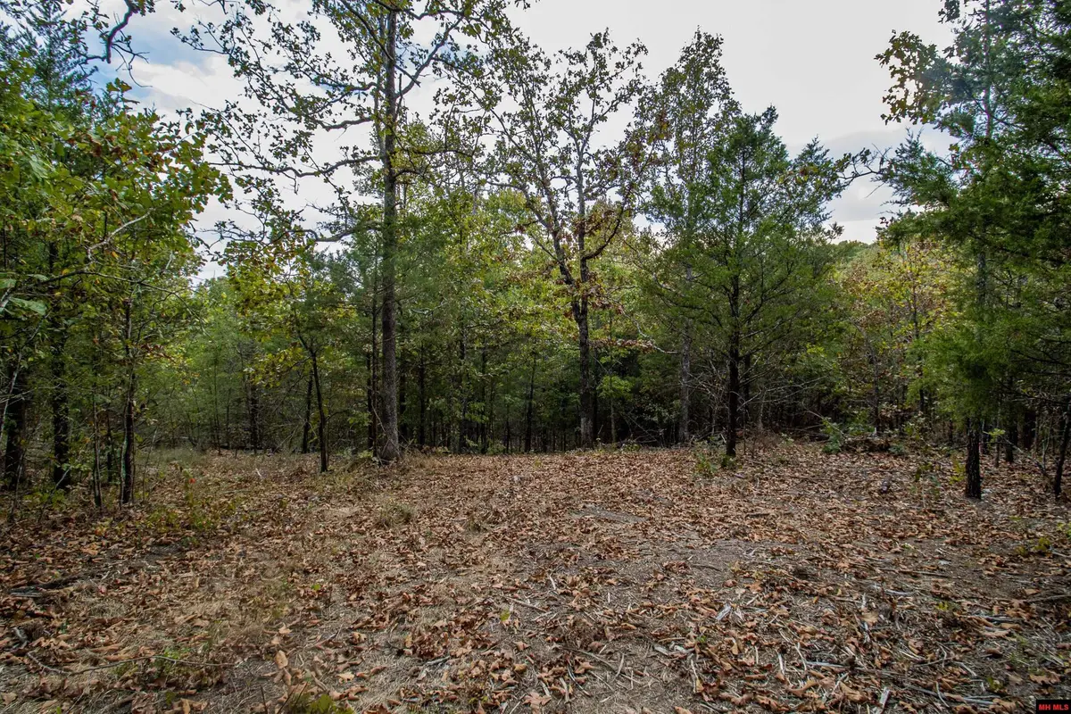 Lot 43 CR 1420, Mountain Home, AR 72653 - #1