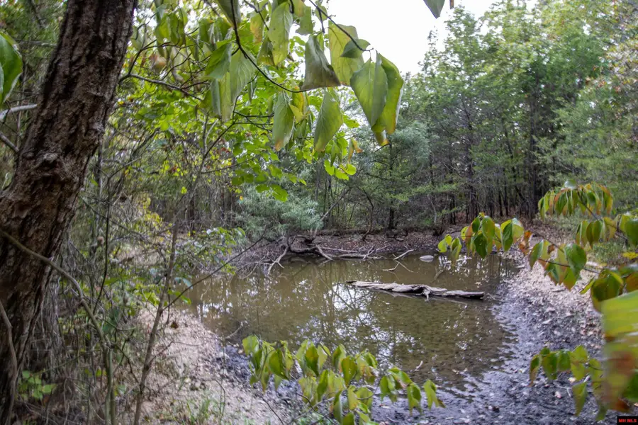 Lot 43 CR 1420, Mountain Home, AR 72653 - #3