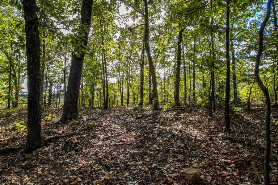 002-11022-044 CR 1420, Mountain Home, AR 72653 - #2