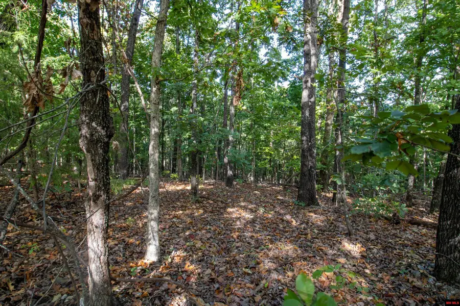 002-11022-044 CR 1420, Mountain Home, AR 72653 - #3