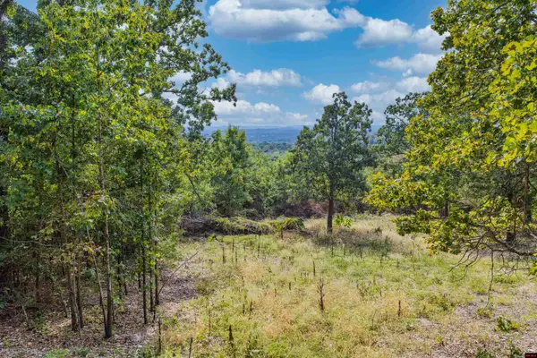 Lot 23 and 24 SUMMIT DRIVE, Mountain Home, AR 72653