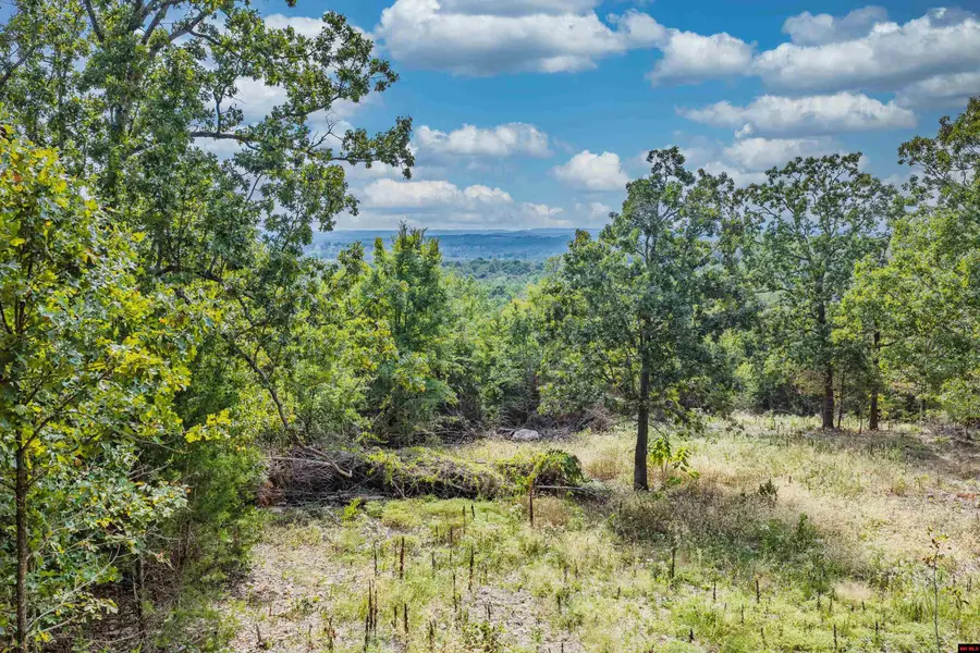 Lot 23 and 24 SUMMIT DRIVE, Mountain Home, AR 72653 - #2