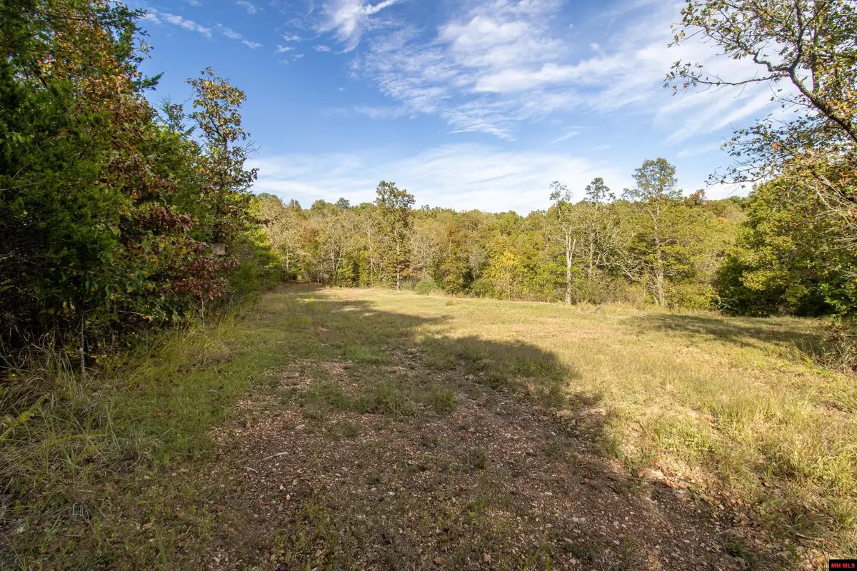 002-11022-055 CR 1420, Mountain Home, AR 72653 - #1