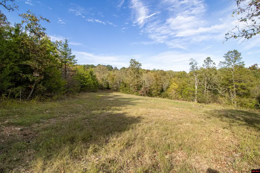 002-11022-055 CR 1420, Mountain Home, AR 72653 - #2