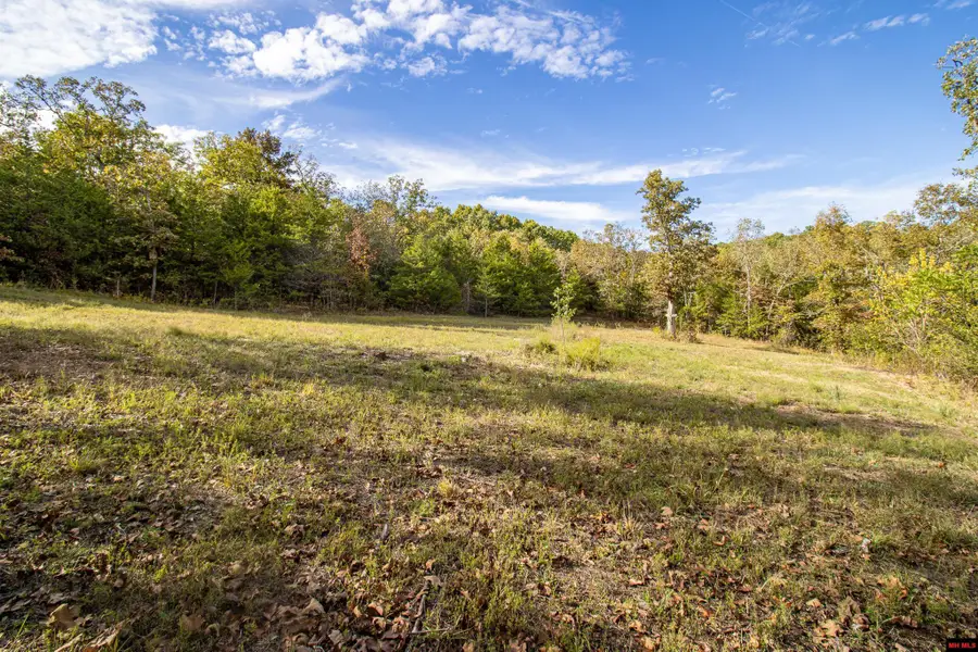 002-11022-055 CR 1420, Mountain Home, AR 72653 - #3