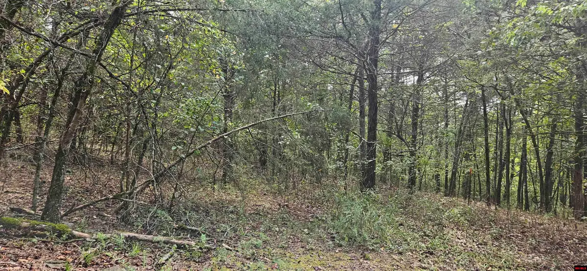001-07553-000 CR 638, Mountain Home, AR 72653 - #1