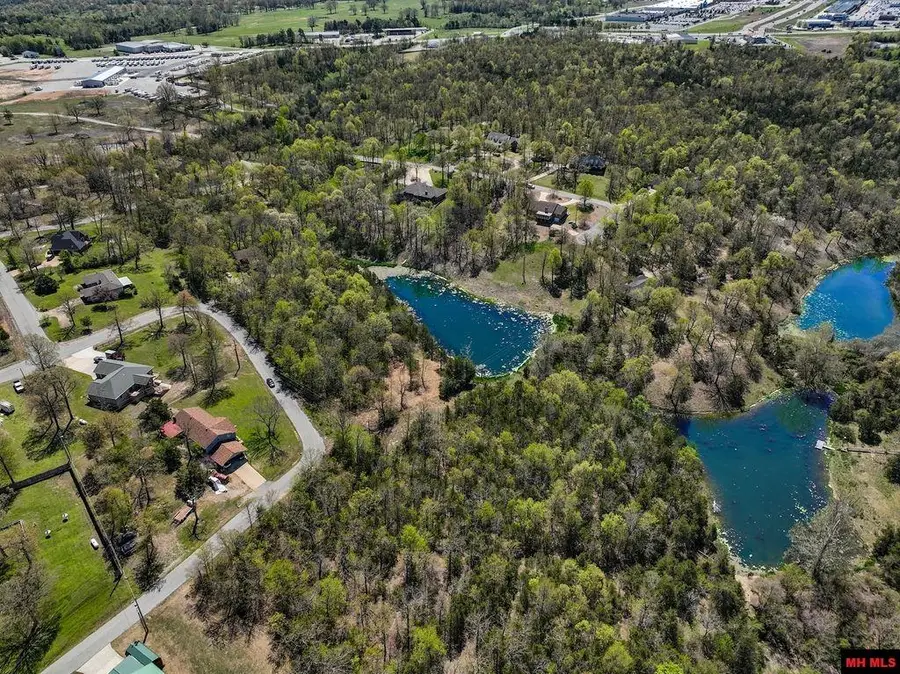 32 WILDWOOD CIRCLE, Mountain Home, AR 72653 - #2