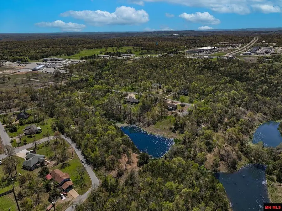 32 WILDWOOD CIRCLE, Mountain Home, AR 72653 - #3
