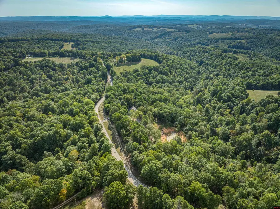 641 AB COZAHOME ROAD, Harriet, AR 72639 - #2