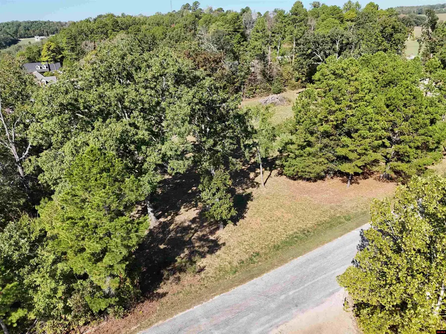 LTS 2&3 MISTY LANE, Mountain Home, AR 72653 - #3