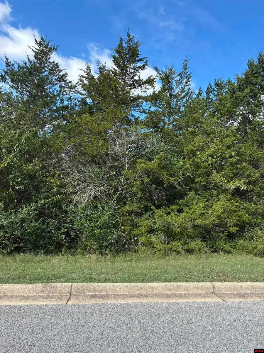 800-04551-000 BROADWAY, Yellville, AR 72687 - #3