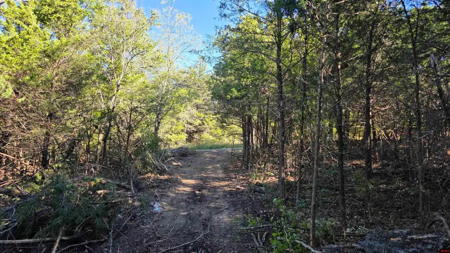 165 MC 3061, Yellville, AR 72687 - #3
